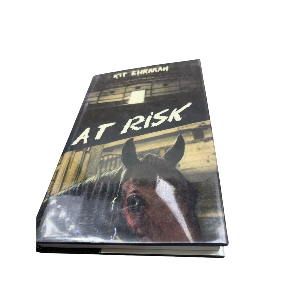 At Risk Kit Erham First Edition 2002‎ Hardcover Poisoned Pen Mystery